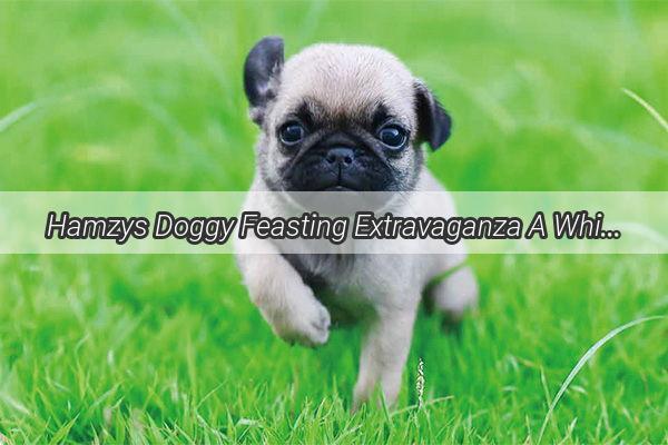 Hamzys Doggy Feasting Extravaganza A WhiskerWagging Culinary Adventure